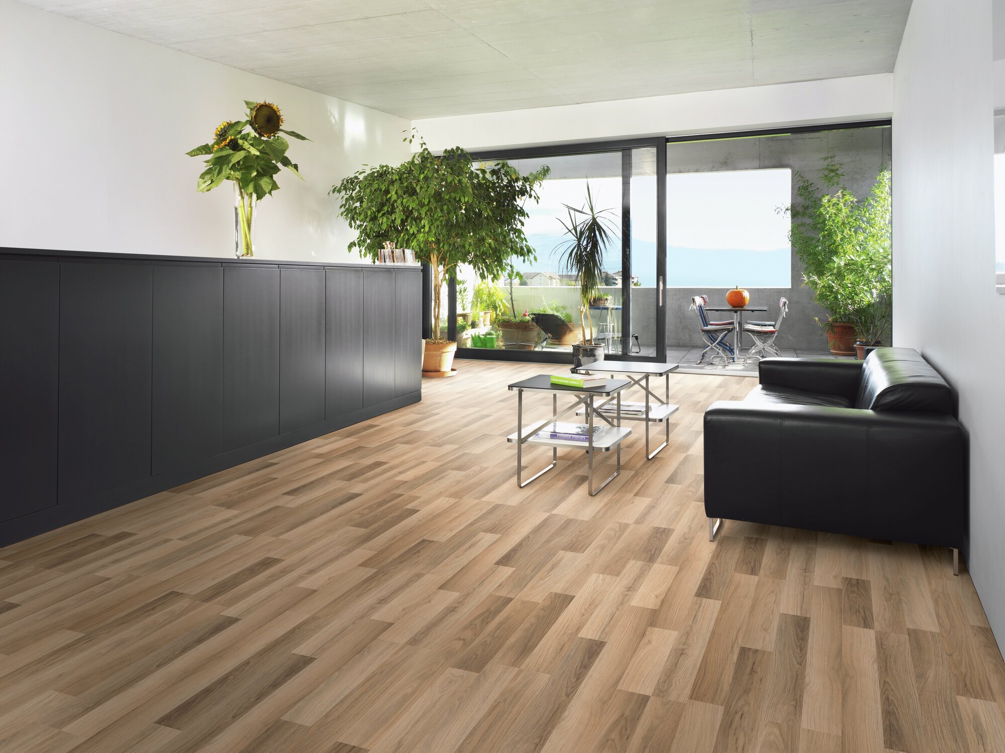 san_go_kronoswiss_d2836-1